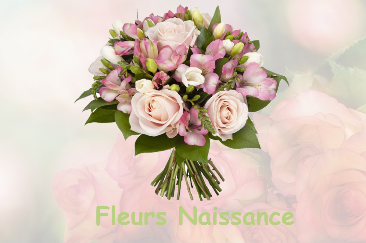 fleurs naissance LE-GRAND-LEMPS