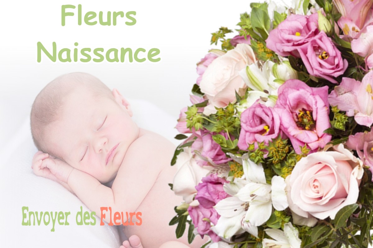 lIVRAISON FLEURS NAISSANCE à LE-GRAND-LEMPS